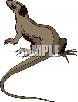Reptile Clipart