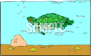 Reptile Clipart