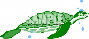 Reptile Clipart