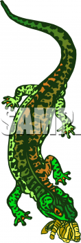 Lizard Clipart