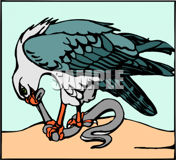 Bird Clipart