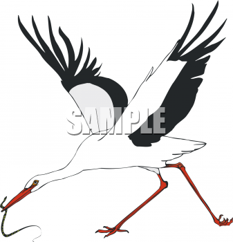 Bird Clipart