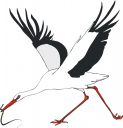 Bird Clipart