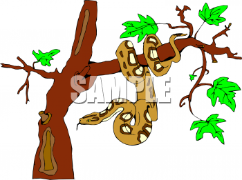 Reptile Clipart