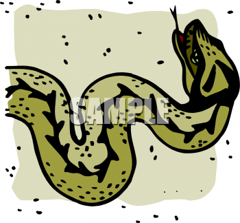 Reptile Clipart