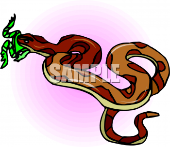 Reptile Clipart