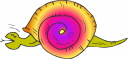 Mollusk Clipart