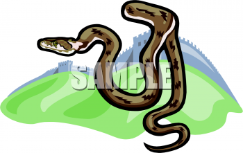 Reptile Clipart