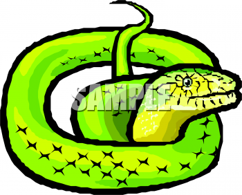Reptile Clipart