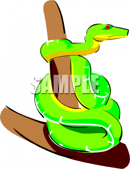 Reptile Clipart