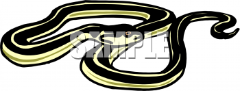 Reptile Clipart