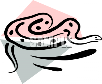 Reptile Clipart