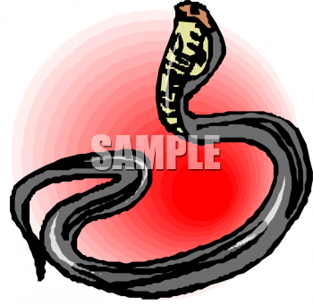 Reptile Clipart