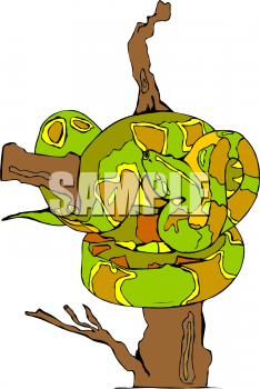 Reptile Clipart