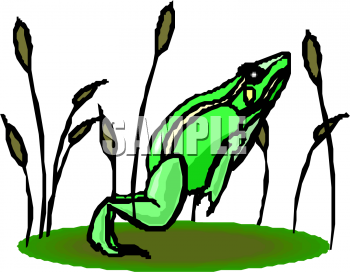 Amphibians Clipart