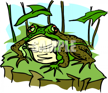 Amphibians Clipart