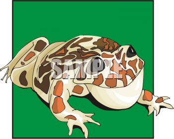 Amphibians Clipart