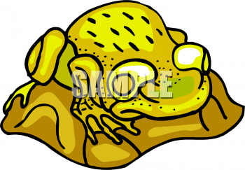 Amphibians Clipart