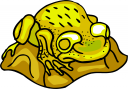Amphibians Clipart