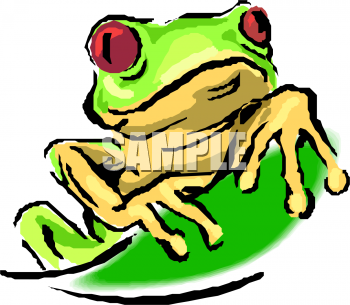 Amphibians Clipart