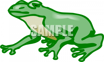 Amphibians Clipart