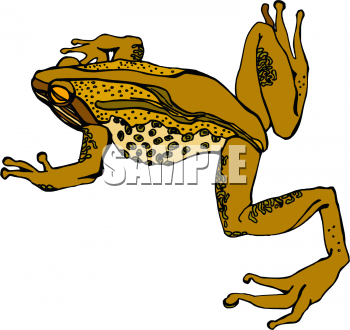 Amphibians Clipart