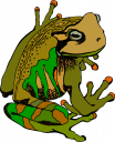 Amphibians Clipart