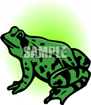 Amphibians Clipart