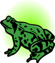 Amphibians Clipart