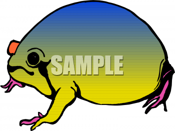 Amphibians Clipart