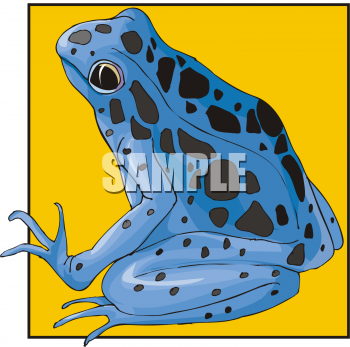 Amphibians Clipart