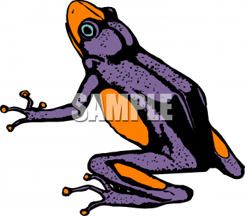 Amphibians Clipart