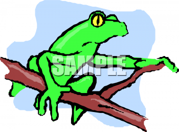 Amphibians Clipart