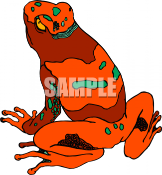 Amphibians Clipart