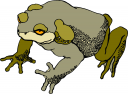 Amphibians Clipart