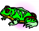 Amphibians Clipart