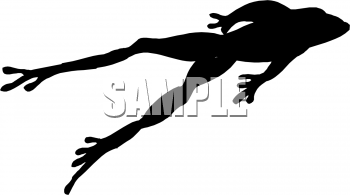 Amphibians Clipart