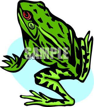 Amphibians Clipart