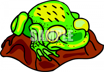 Amphibians Clipart