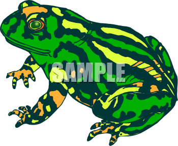 Amphibians Clipart
