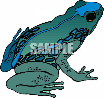 Amphibians Clipart