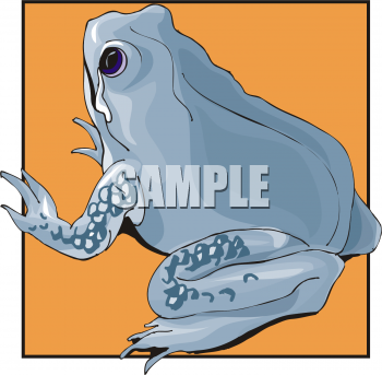 Amphibians Clipart