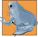 Amphibians Clipart