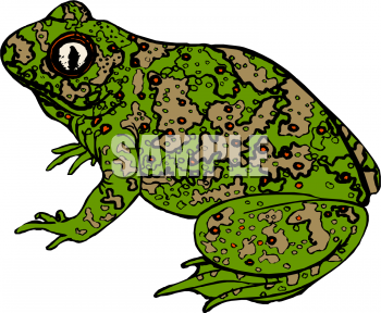 Amphibians Clipart