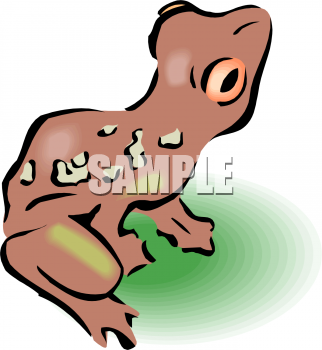 Amphibians Clipart