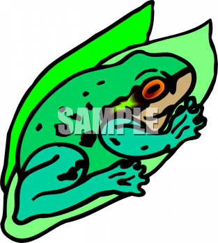 Amphibians Clipart