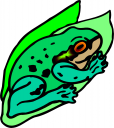 Amphibians Clipart