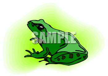 Amphibians Clipart