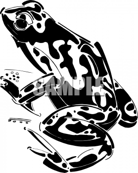 Amphibians Clipart