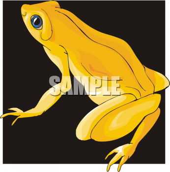 Amphibians Clipart